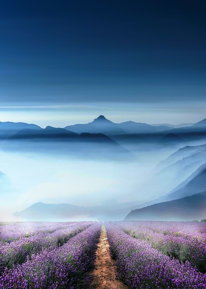 Field of mountain
