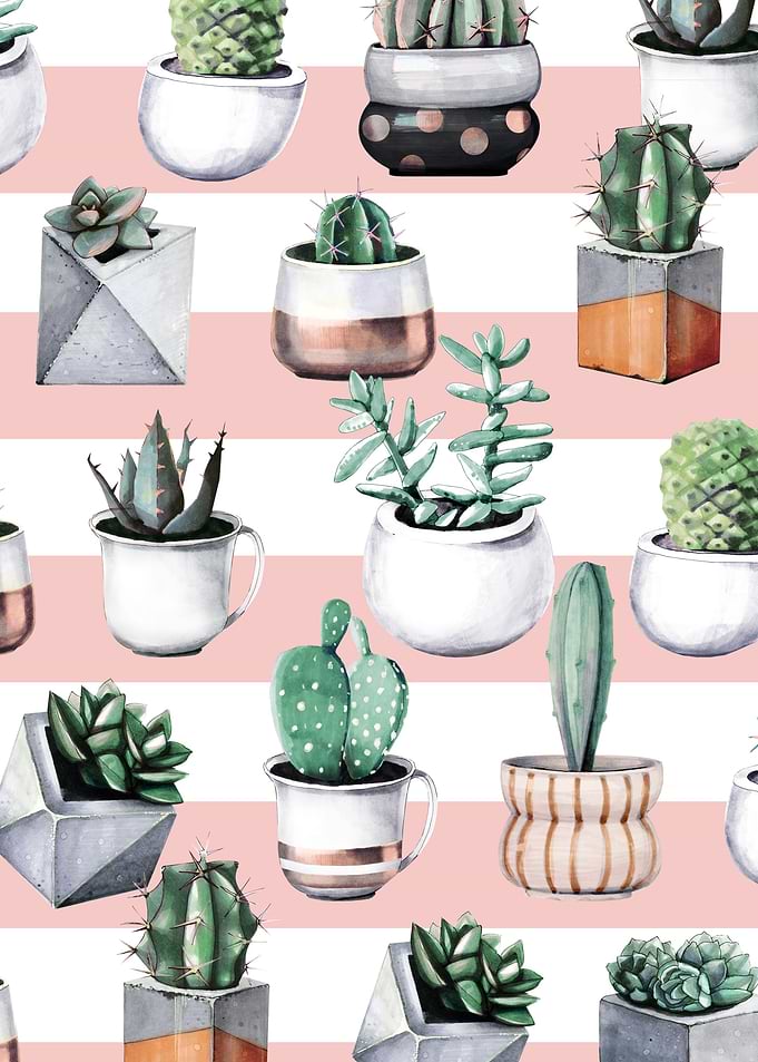 Cactus Pattern 02