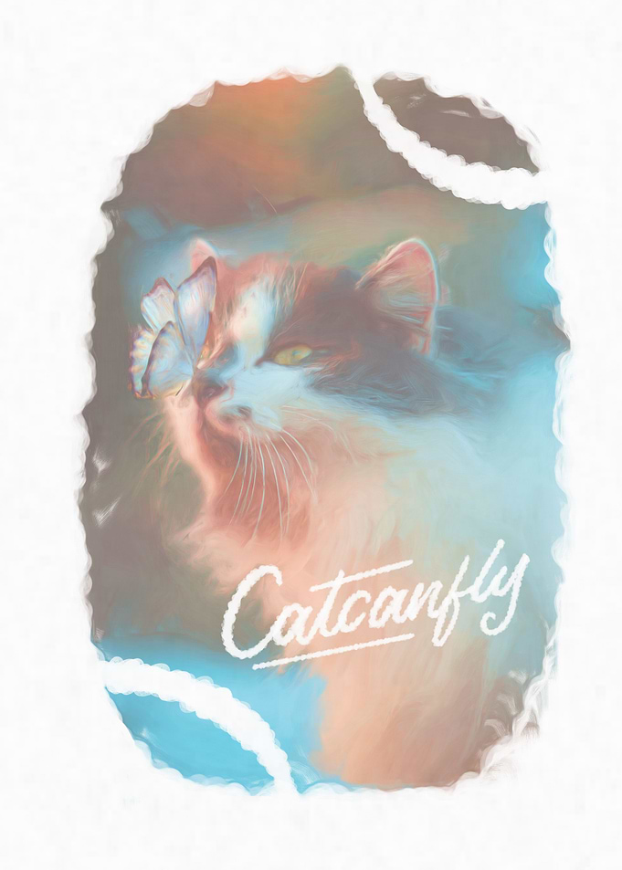 Cat can fly