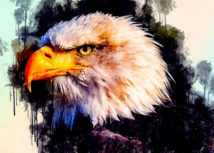 Eagle Painting