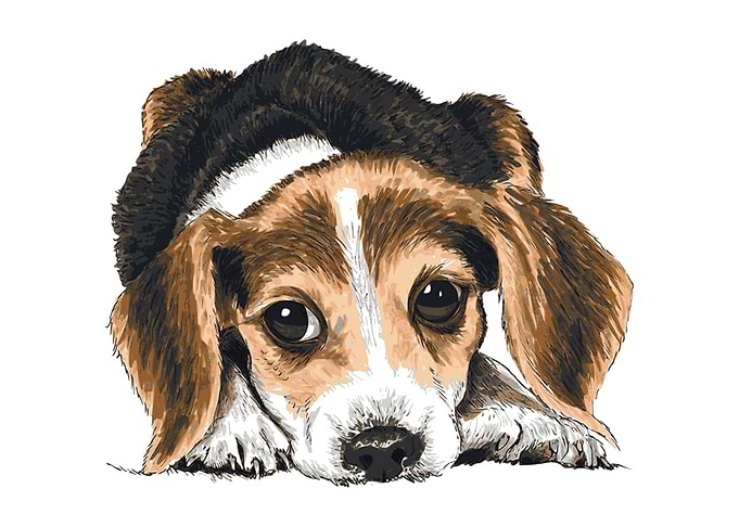 Puppy dog eyes