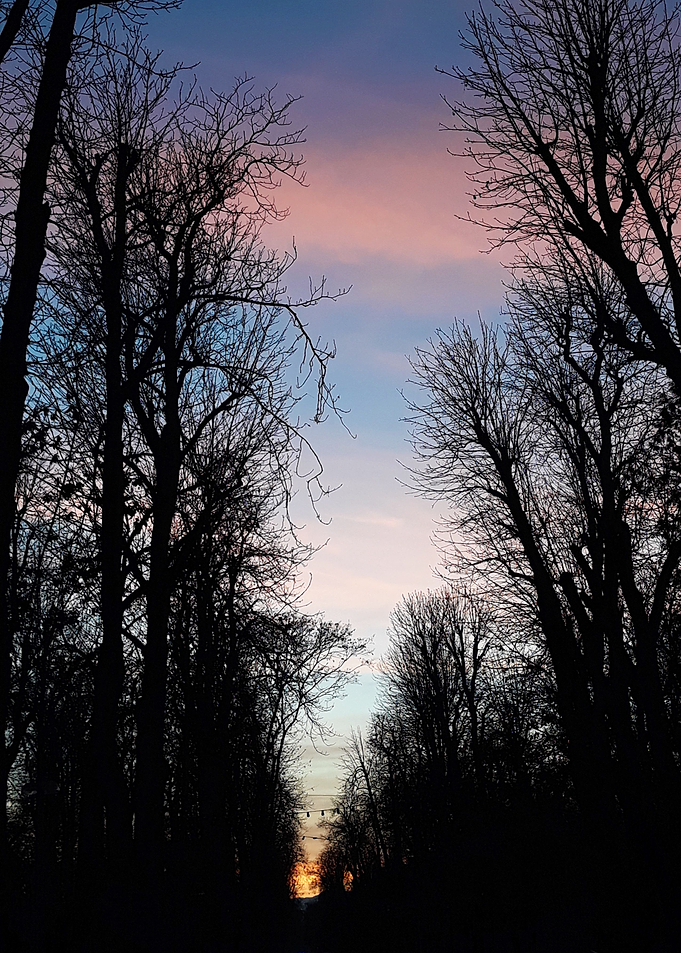 Color full park sunset