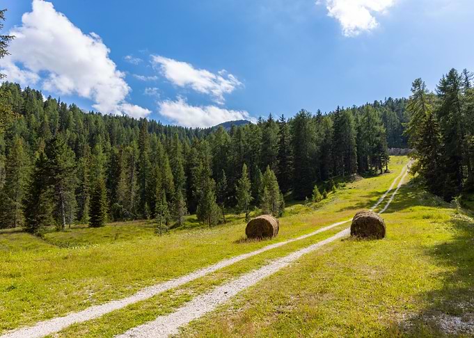 Dolomites near Cortina