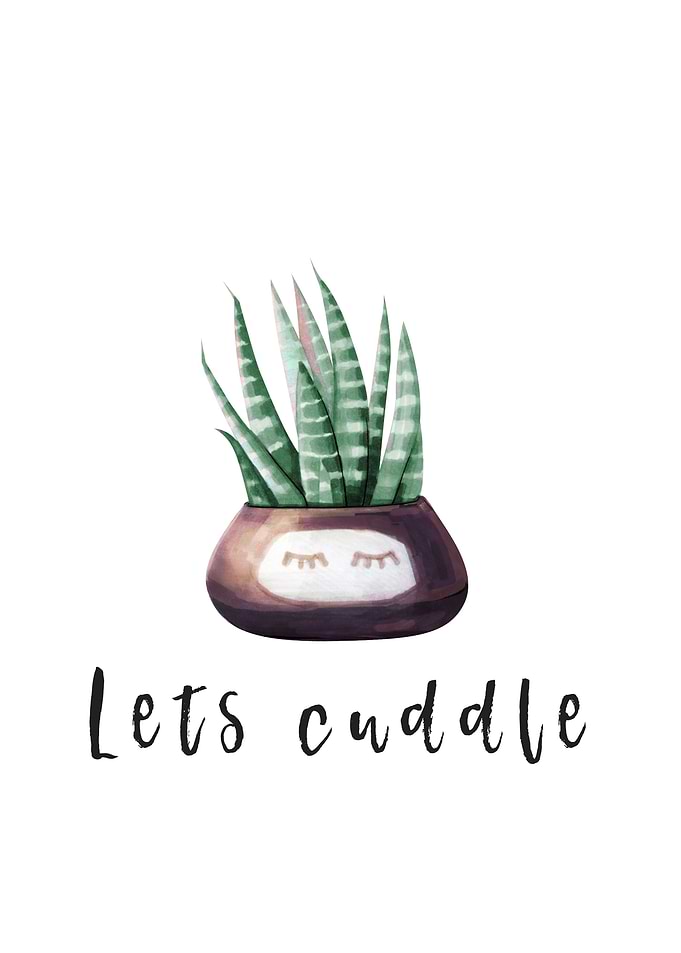 Cactus 04