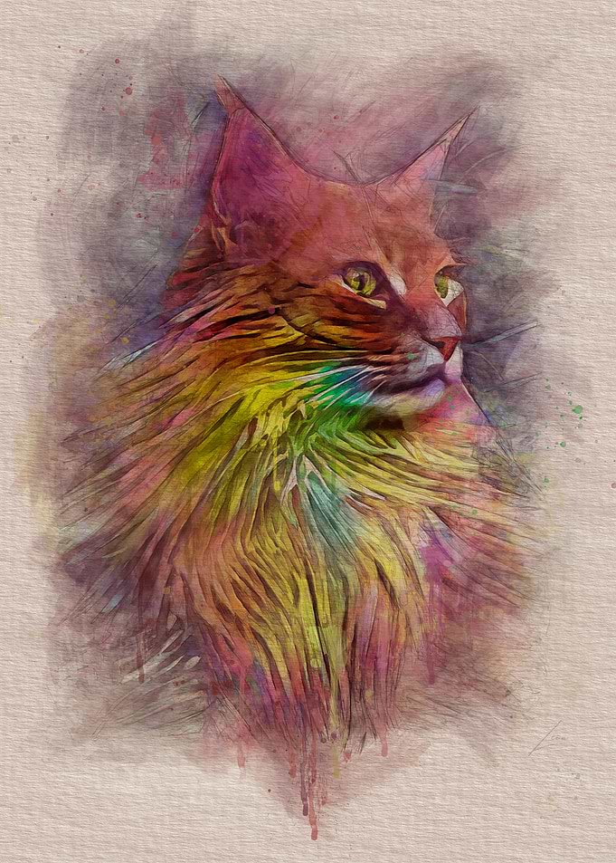 Colorful Cat v1