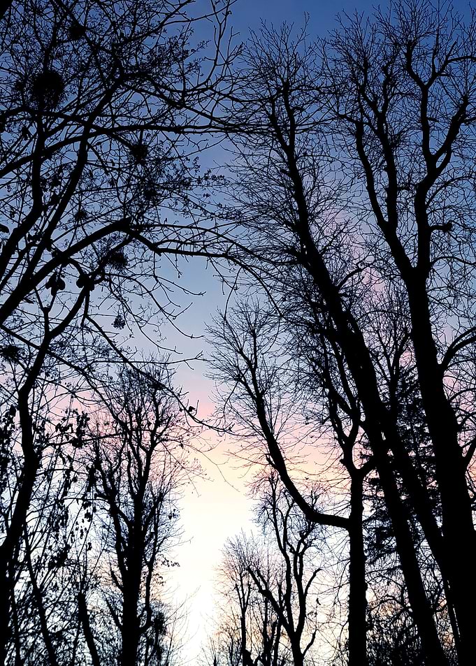 Blue sunset