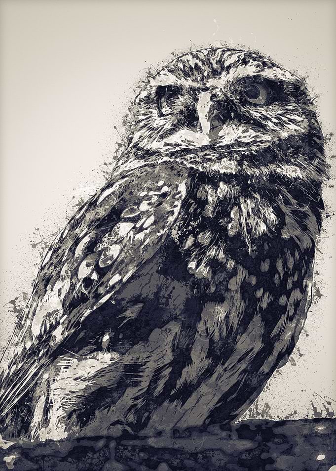 Owls in the artwork 11