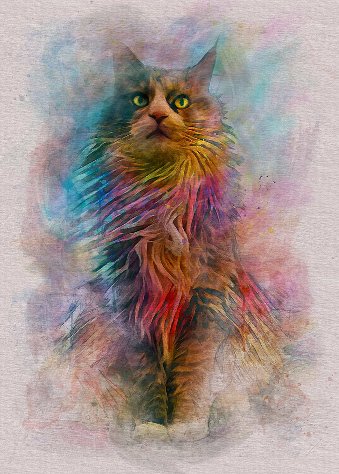 Colorful Cat v2