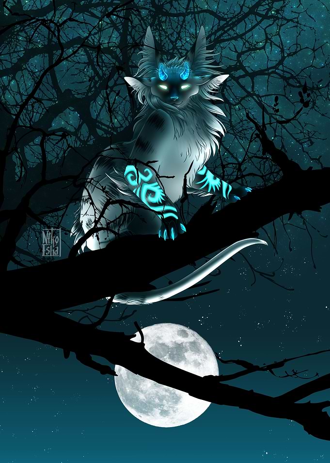 The Moon