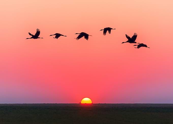 Sunset 012