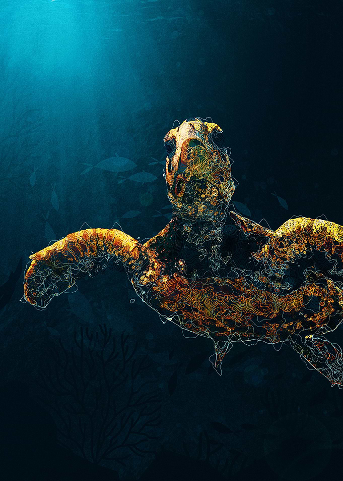 Turtle