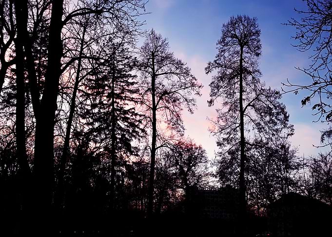 Mystery park
