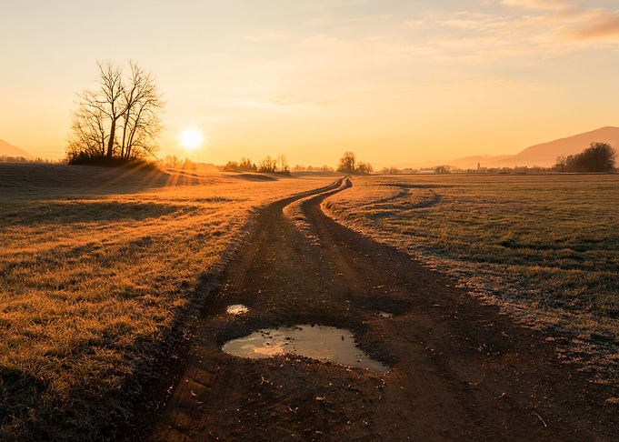 Landscape 97