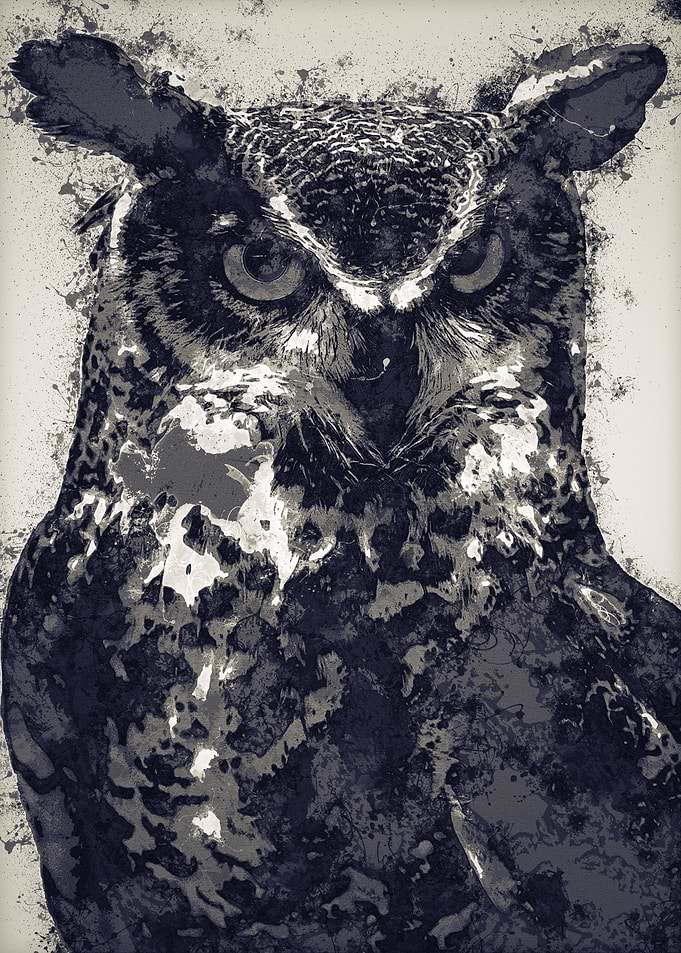 Owls in the artwork 18