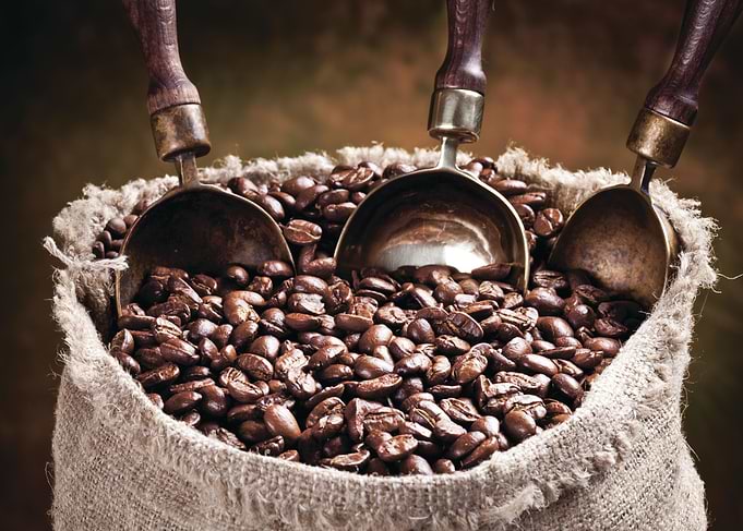 Coffee Bean