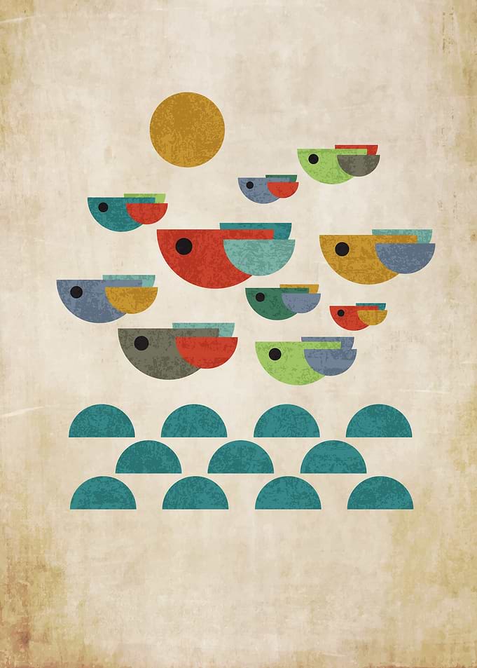 The birds
