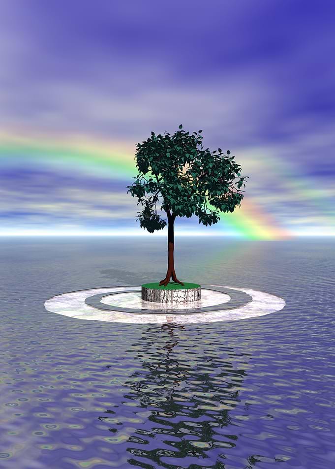 Rainbow Tree