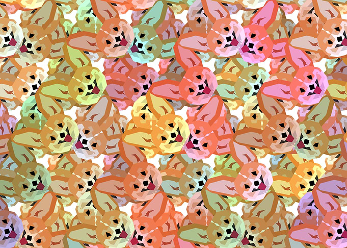 Corgi Face Pattern 6