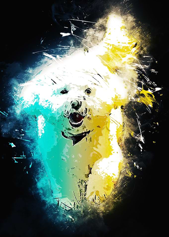 cute walking dog