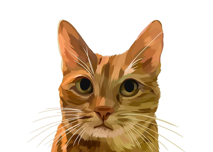 cute cat potrait vector