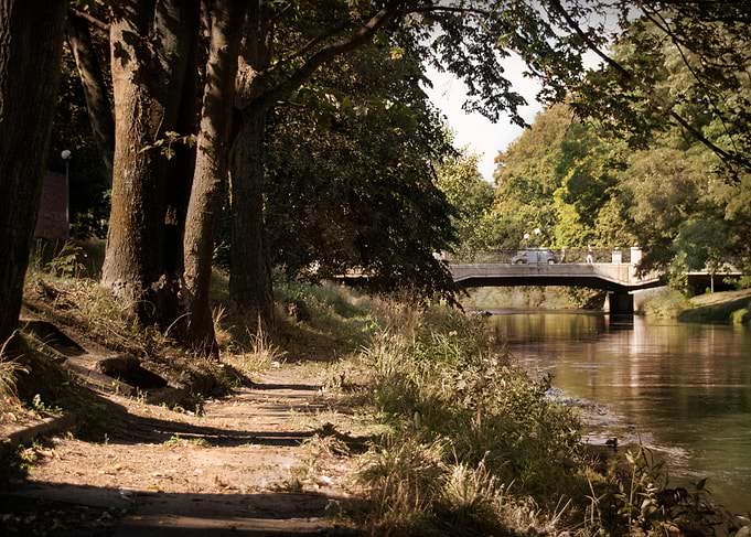 River in the park
