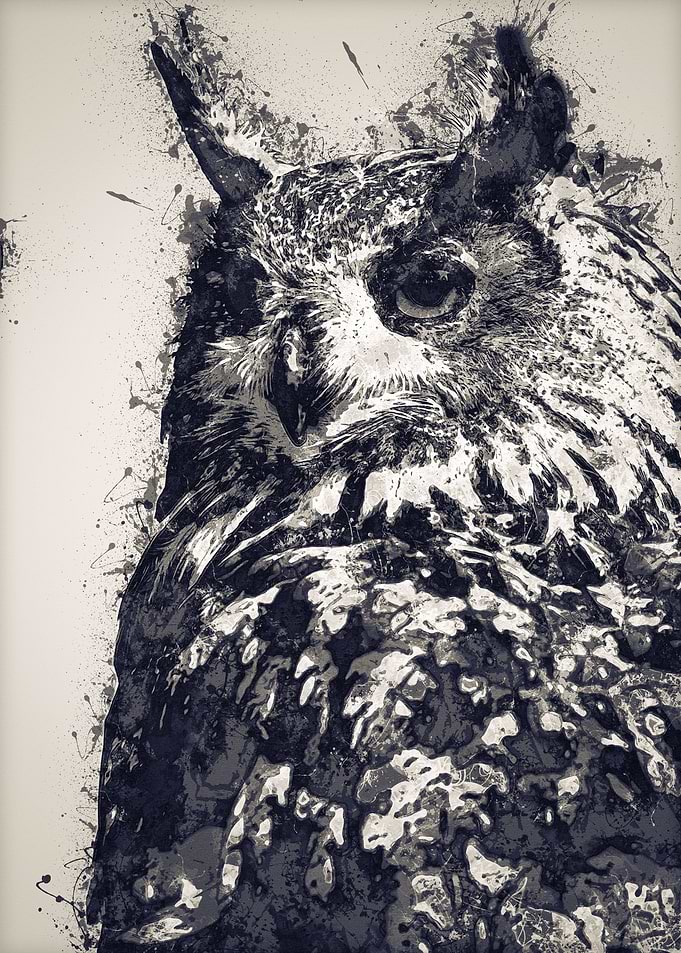 Owls in the artwork 28