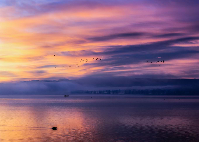 morning light