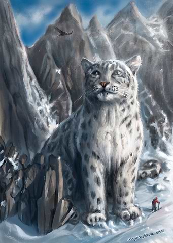 Mountain Master