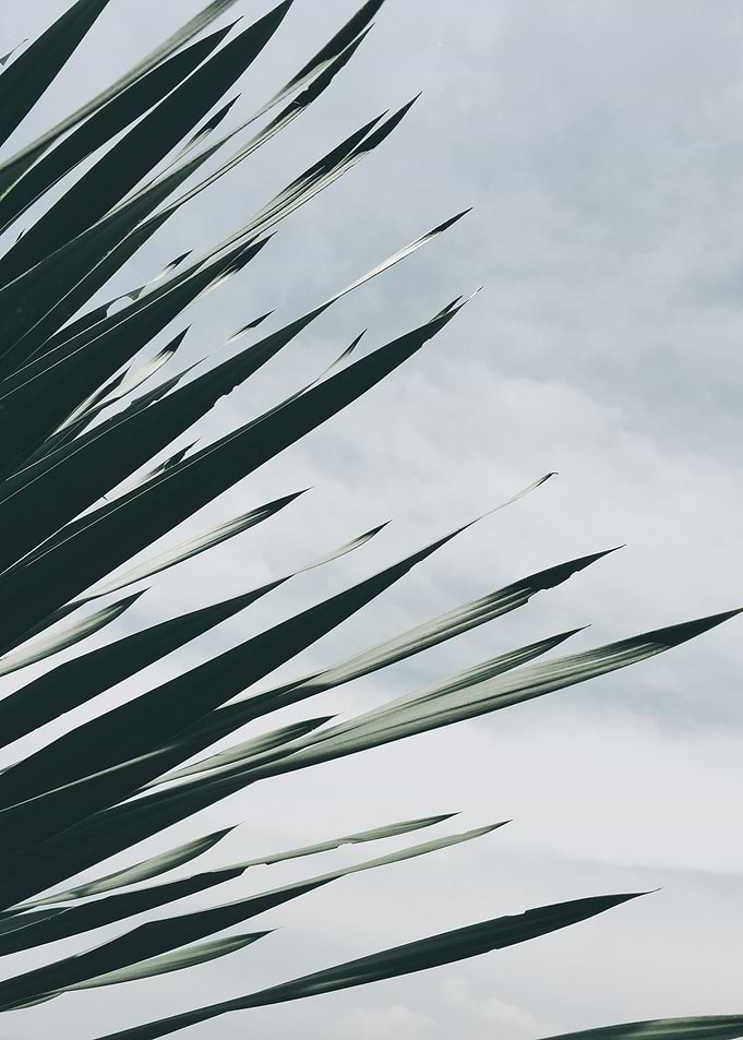 Natural Background 29