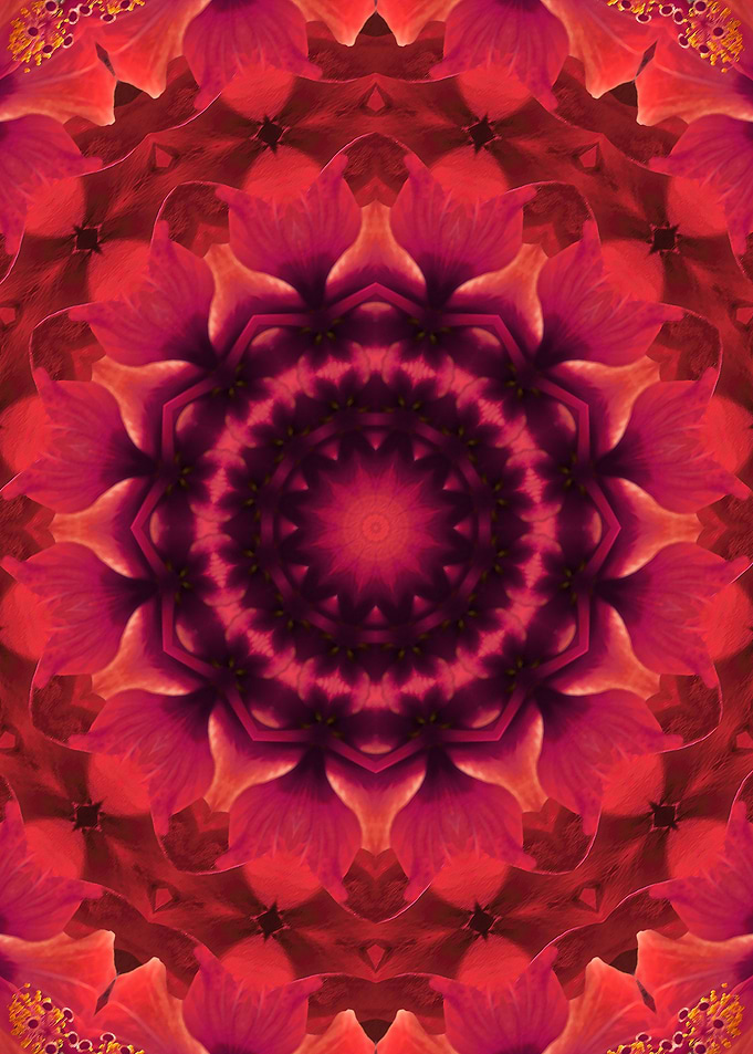 Root Chakra