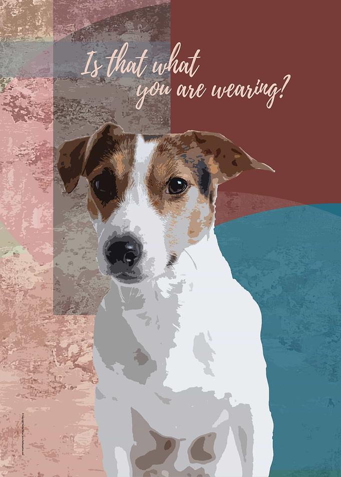 Jack Russell Terrier