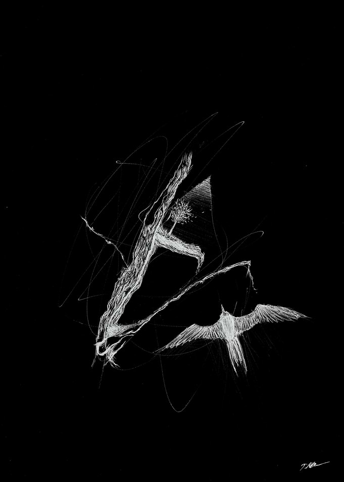 Somewhat Illegible Flight