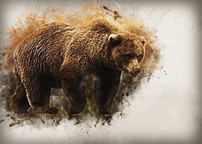 Bears