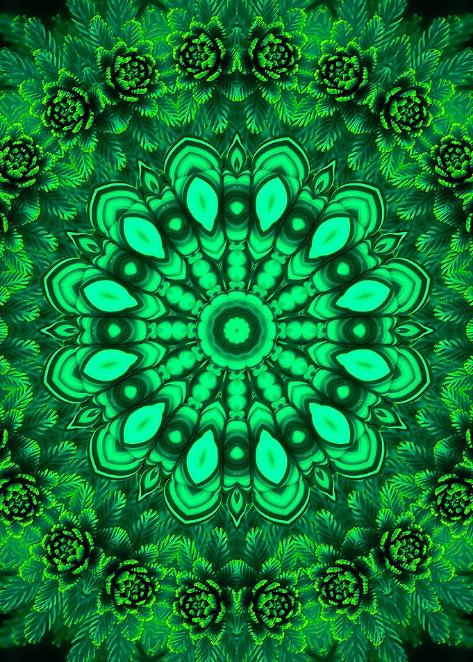 Heart Chakra