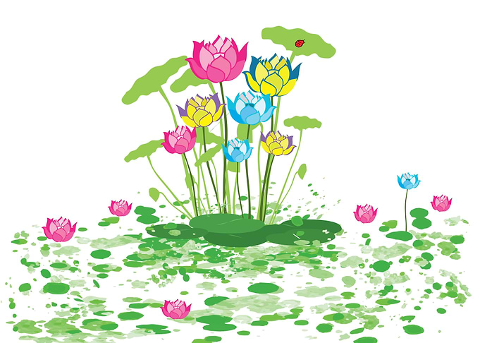 waterlilies flower 2