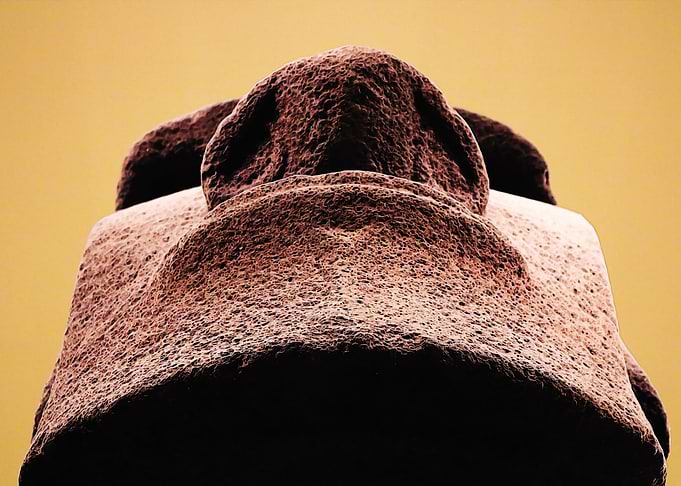 Mohais head closeup