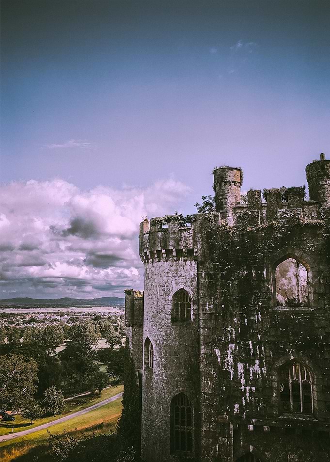 castle brown black