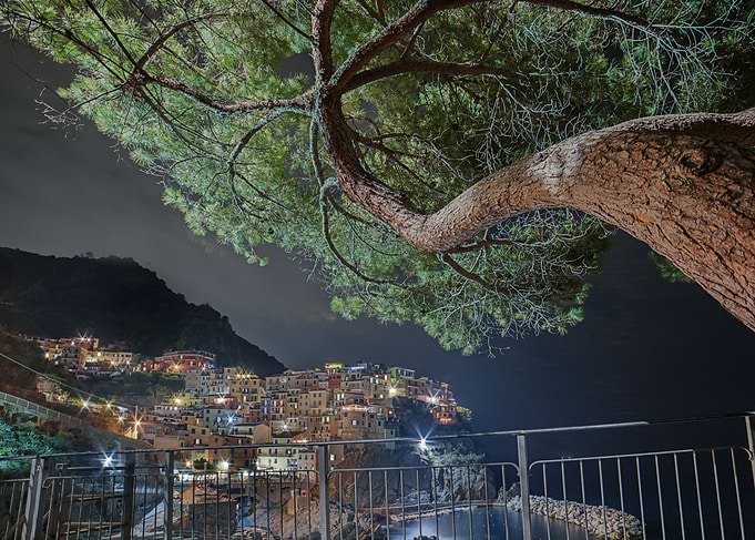Manarola in night
