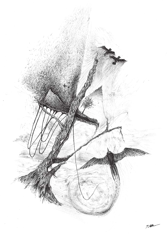 More Legible Flight