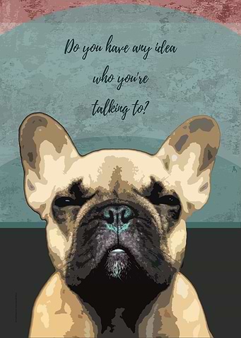 Bossy French Bulldog
