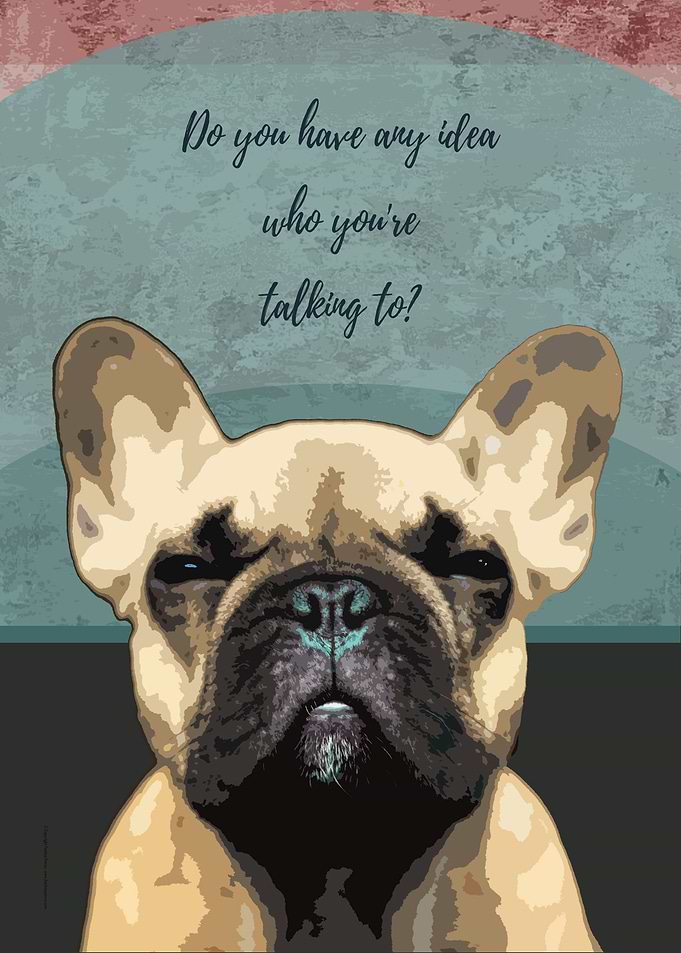 Bossy French Bulldog