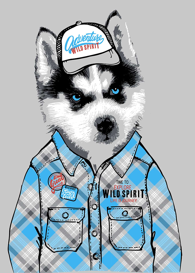 husky puppy in shirt