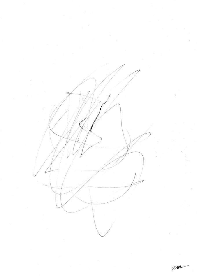Illegible Flight