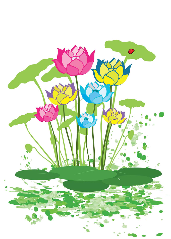 waterlilies flower1
