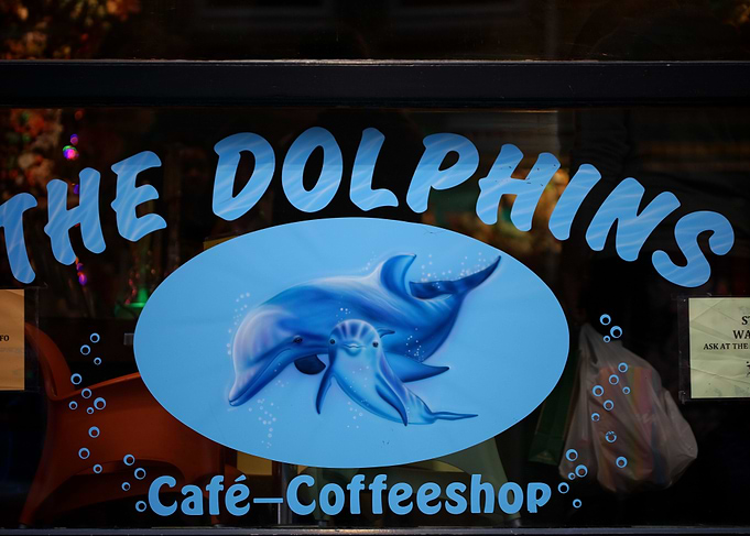 Dolphins coffeshop deco