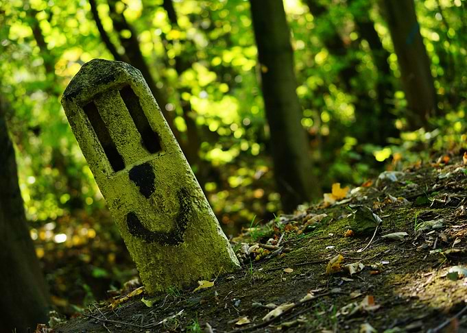 funny face on a stone