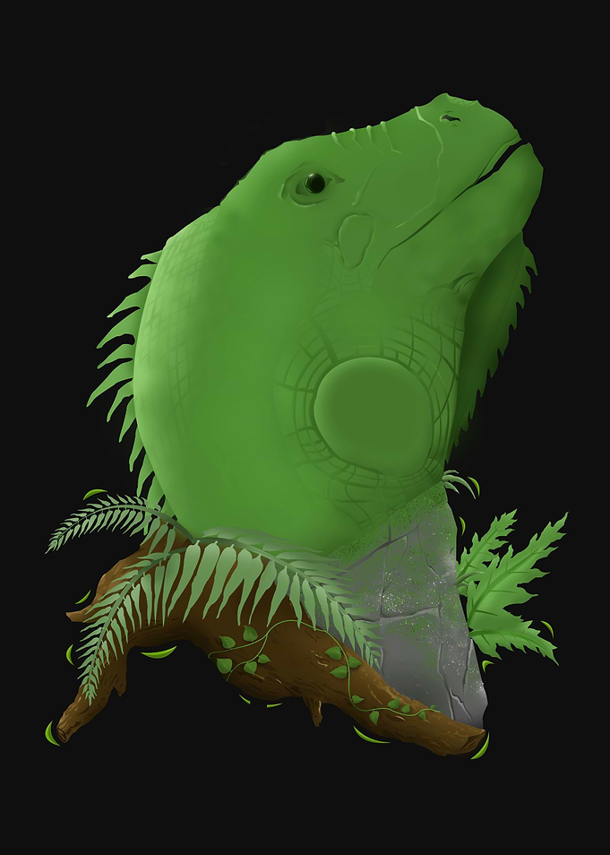 Tropical Iguana
