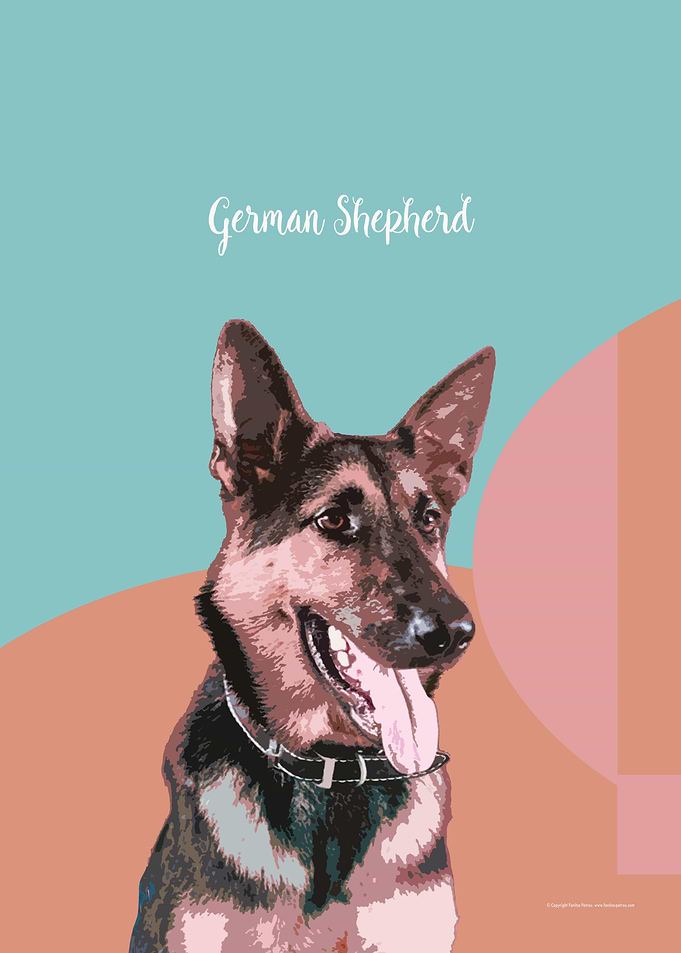 German Shepherd