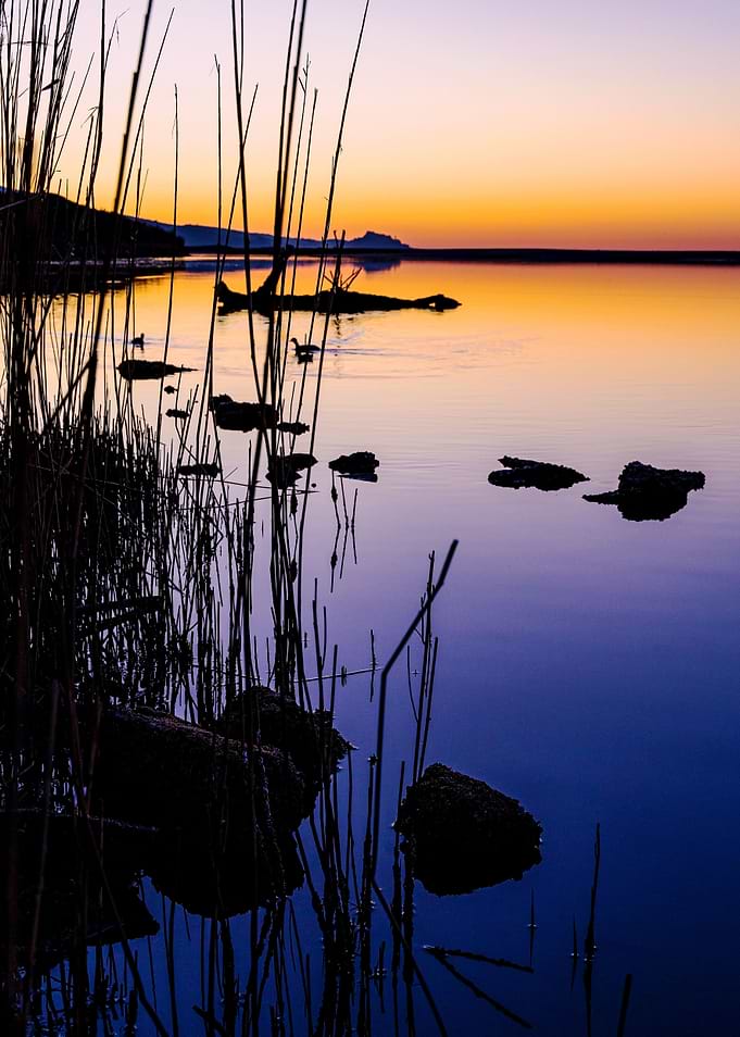 Still waters thirteen