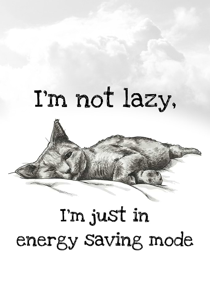 Lazy Cat